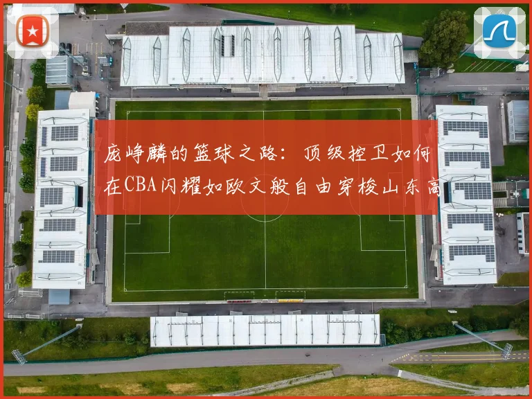 庞峥麟的篮球之路：顶级控卫如何在CBA闪耀如欧文般自由穿梭山东高速